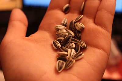 Cropped hand holding seeds