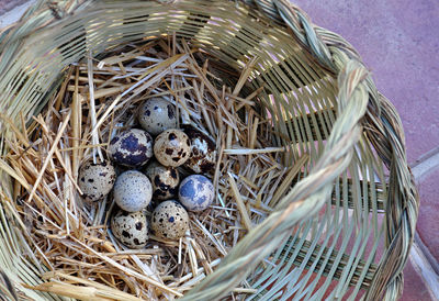 High angle view of eggs in basket