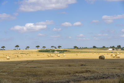 Hay bales on field against sky