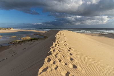 Scenic view of beach against sky