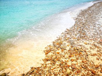 Scenic view of beach