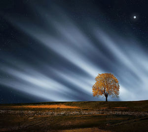 Scenic view of field against sky at night