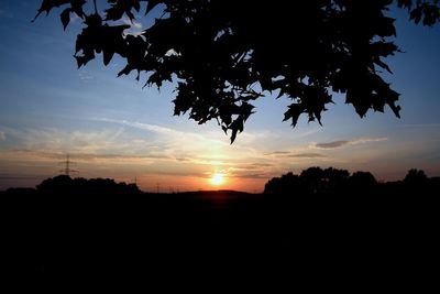 Silhouette of trees at sunset