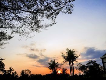 Low angle view of silhouette trees against sky during sunset