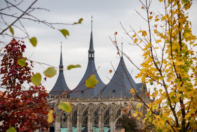 Low angle view of trees and buildings against sky