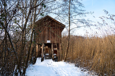 Biodiversity haff reimech, wetland  nature reserve  luxembourg, snow in winter 