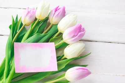 Close-up of pink tulip flowers on table