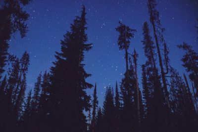 Low angle view of trees against clear sky