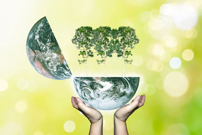 Digital composite image of hand holding plant