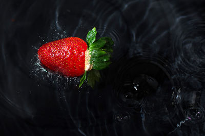 Close-up of strawberry in water