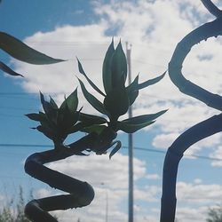 Low angle view of plants against cloudy sky