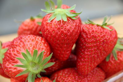 Close-up of strawberries