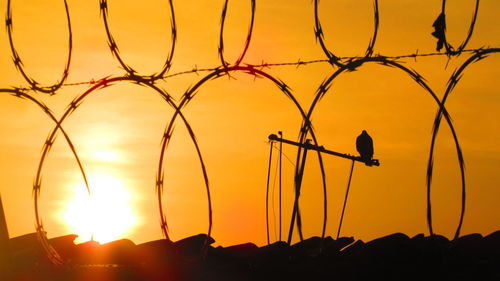 Silhouette razor wire fence against sky during sunset