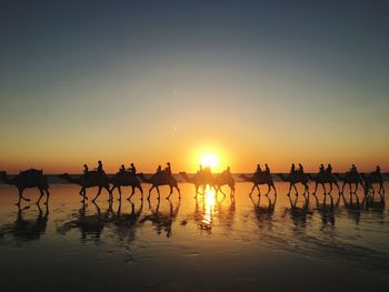 Silhouette people riding horses on shore against sky during sunset