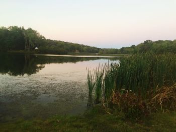 Scenic view of lake against clear sky