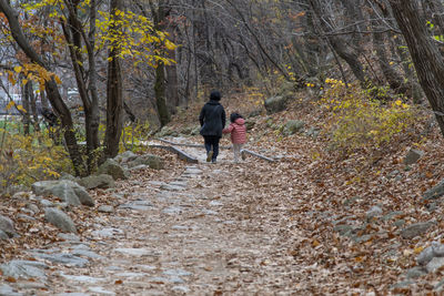 Rear view of people walking on footpath in forest