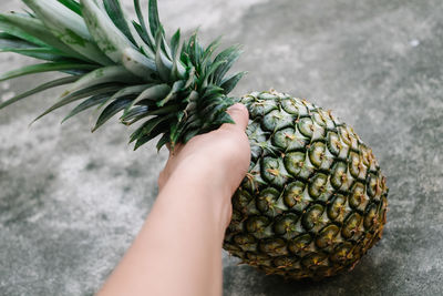 Cropped image of hand holding pineapple