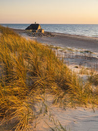 Solitary house on beach at sunset