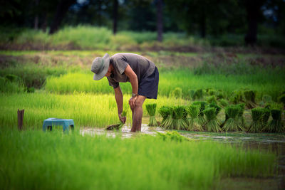 Rear view of man working on field