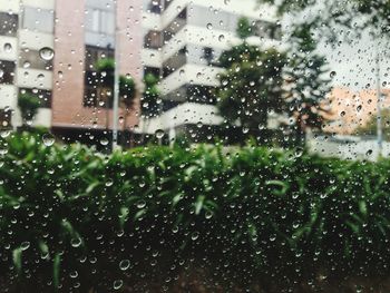 Close-up of water drops on glass