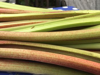 Close-up of vegetables