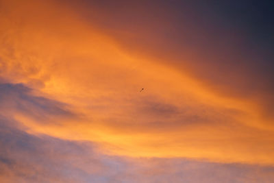 Low angle view of orange sky