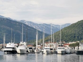 Sailboats moored at harbor against sky