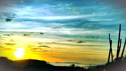 Scenic view of silhouette trees against sky at sunset