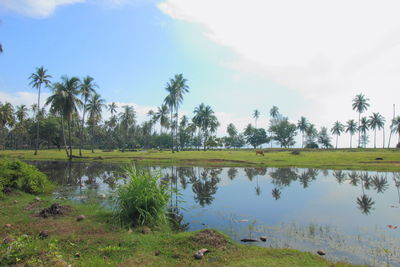 Scenic view of lake against sky