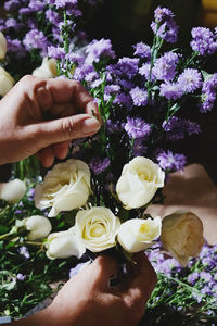 Close-up of woman hand holding white rose by purple flower in shop