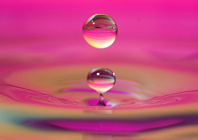 Close-up of water drop