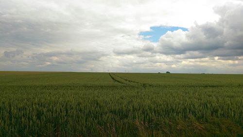 Scenic view of field against cloudy sky