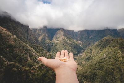 Man sets up his hand with birdseed and waits for birds. balcoes de ribeiro frio in madeira portugal.