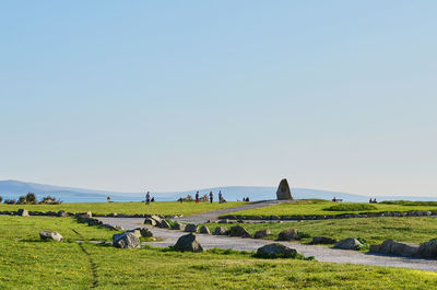 Scenic view of field against clear sky