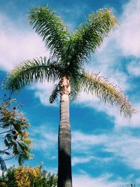 Low angle view of tree against cloudy sky