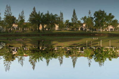 Scenic view of lake by trees against sky