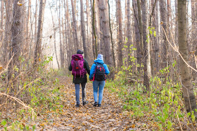 Rear view of women walking in forest