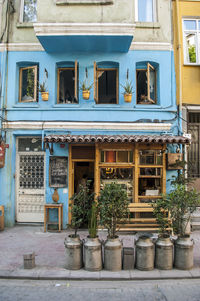 Potted plants on balcony of building