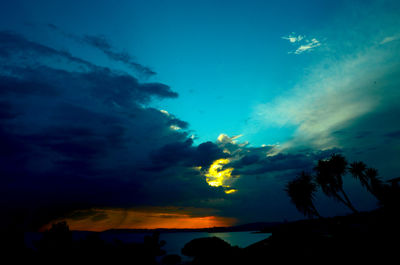 Low angle view of silhouette trees against sky during sunset