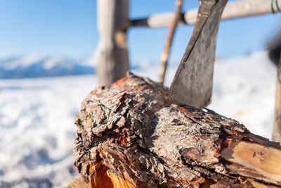 Close-up of tree trunk with axe during winter