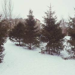 snow