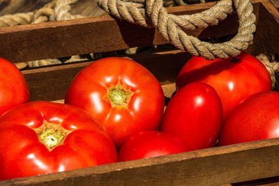 High angle view of tomatoes in container