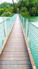 Footbridge amidst trees