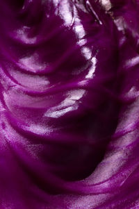 Close-up of purple rose