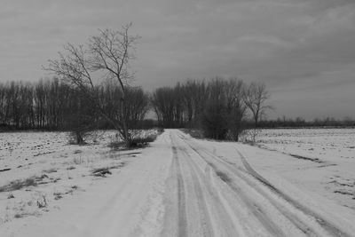 Road passing through forest