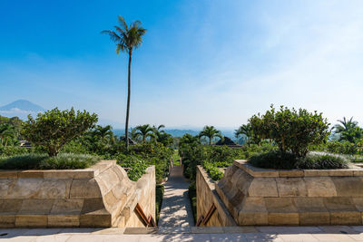 Scenic view of palm trees against blue sky