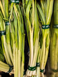 High angle view of vegetables for sale in market