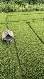 High angle view of tire tracks on field