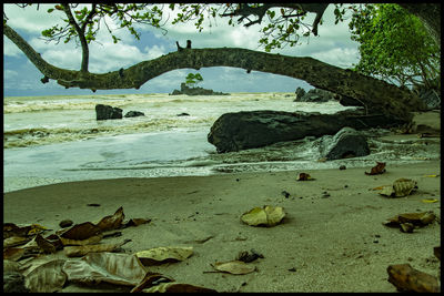 Scenic view of sea shore against sky