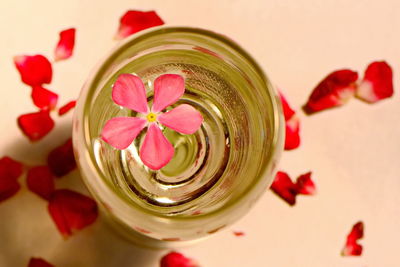 Close-up of red rose on glass table